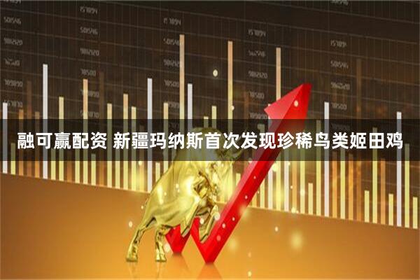 融可赢配资 新疆玛纳斯首次发现珍稀鸟类姬田鸡