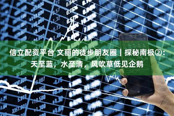 信立配资平台 文丽的徒步朋友圈｜探秘南极②：天至蓝，水至清，风吹草低见企鹅